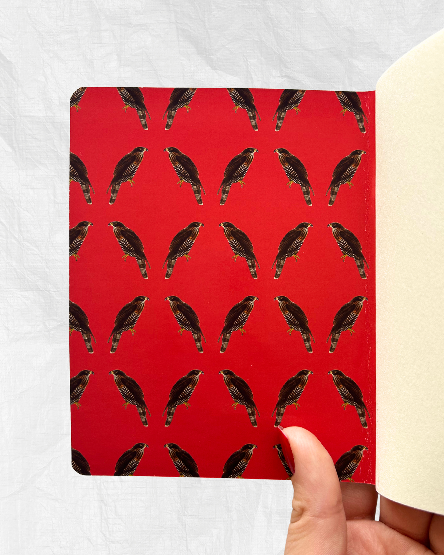 Libreta Nuevo Mundo